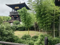 -大唐贡茶院