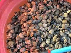 -东戴河风景区-止锚湾