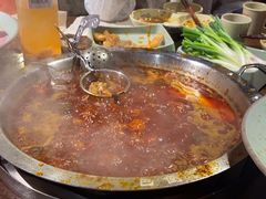 -巴倒烫陆派重庆火锅(南山店)