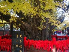 -浮来山风景区