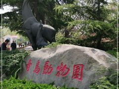 -青岛动物园