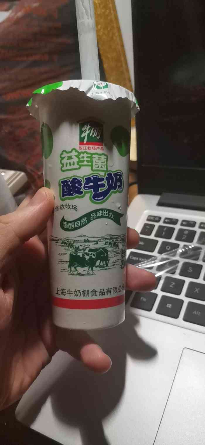 牛奶棚酸奶图片