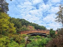 -云溪植物园