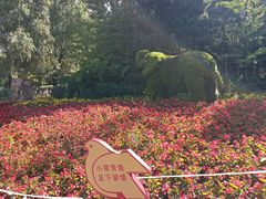 -长白岛森林公园