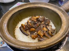 -红星光发煲仔饭(文海店)