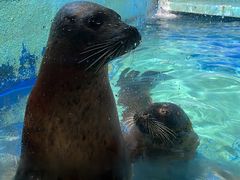 -太平洋海底世界