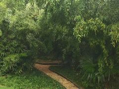-菊花台公园