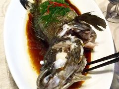 -梧桐餐厅(泉城路店)