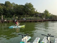 -金鸡湖桃花岛