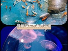 -聚福山莊·寻味顺德(北滘店)