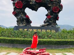 -亚龙湾国际玫瑰谷