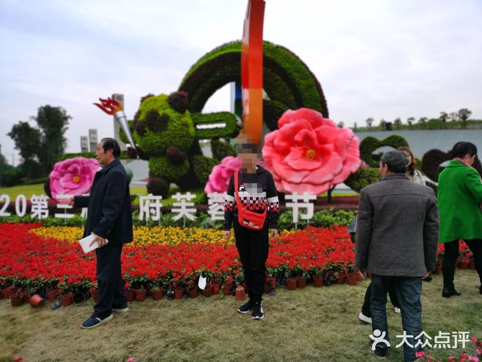 天府芙蓉园图片