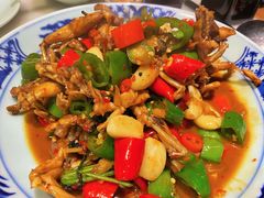 田鸡爆炒-陈先进鱼馆·夜宵·地道农家菜(湖墅南路店)