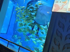 -太平洋海底世界