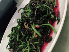 -欢乐海岸美食联盟
