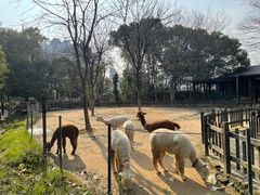 -南昌动物园