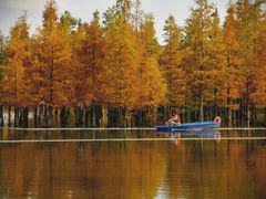 -白鹭湾湿地公园