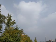 -四川大学(望江校区)