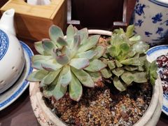 -南京大牌档(济南万象城店)