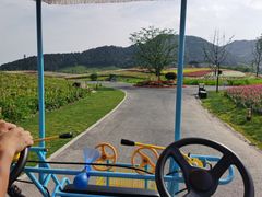 -径山花海