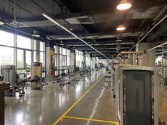 -天行健身＆天行拳馆跆拳道·格斗TXGYM