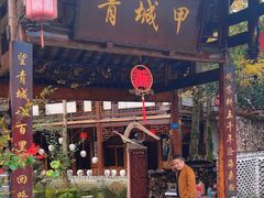 -青城甲(青城山店)