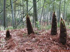 -仙山谷激浪漂流