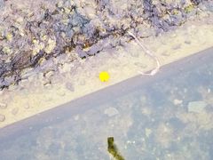 -桤木河湿地公园