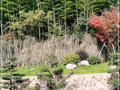 -径山寺