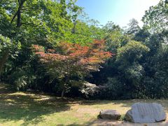 -敬亭山风景名胜区