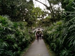 -广州兰圃
