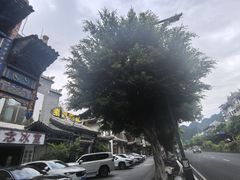 -佳荣老五生态牛肉馆