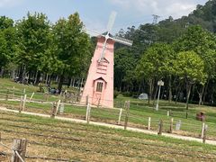 -顺峰山公园