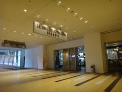 -香港大学
