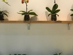 -憨老頭凉皮融合简餐(双山里店)