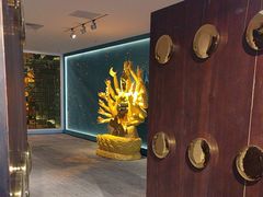 -大视光学•LINDBERG林德伯格•全球手工眼镜集合店(王府井店)