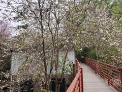 -清远鱼水旅游风景度假区
