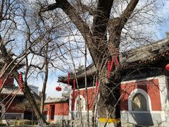 -北京艺术博物馆(万寿寺)
