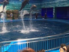 -多彩贵州城极地海洋世界