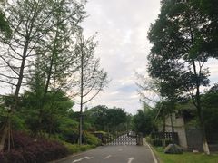 -都江堰中华大熊猫苑