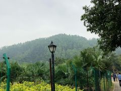 -南沙天后宫景区
