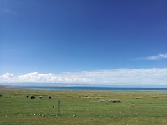 -青海湖国家重点风景名胜区