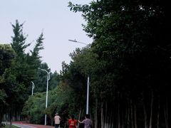 -艾溪湖湿地公园