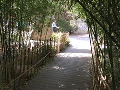 -紫竹院公园冰场