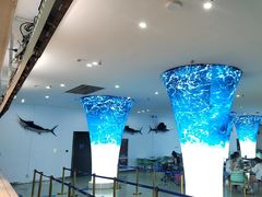 -深海中餐厅(国家海洋博物馆店)