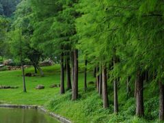 -莲花山公园
