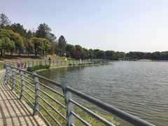 -美兰湖景区