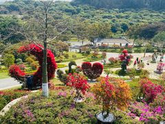 -东莞植物园
