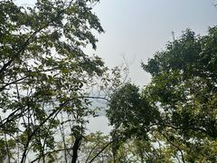 -昭山风景名胜区