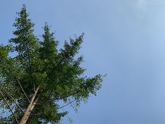 -四川大学(望江校区)